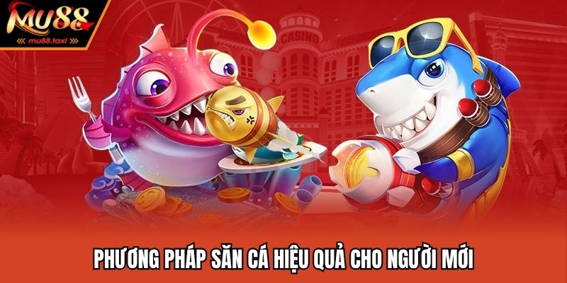 Phương pháp săn ngư đơn giản cho tân binh