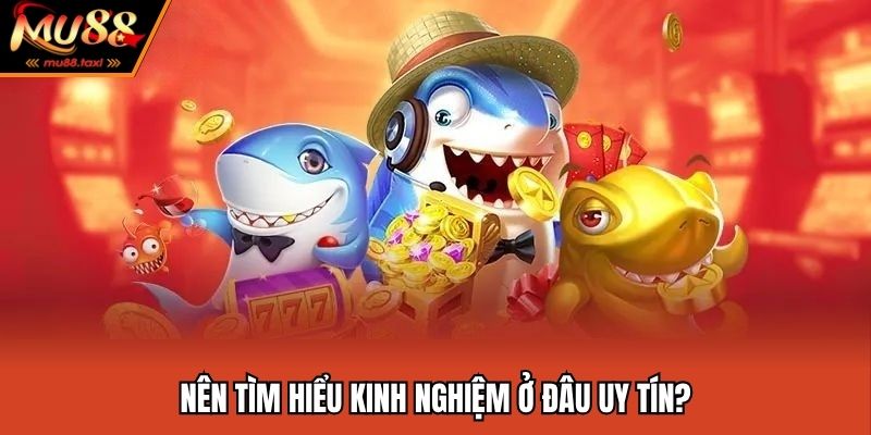 Những lý do bạn nên theo dõi kinh nghiệm nơi uy tín
