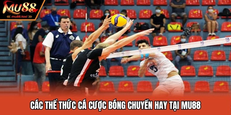 Các thể thức cá cược bóng chuyền hay tại MU88