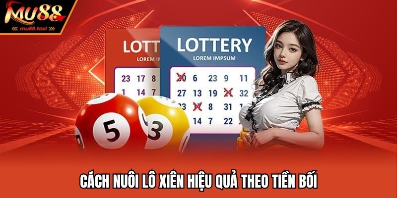 Áp dụng cách nuôi lô từ tiền bối đi trước