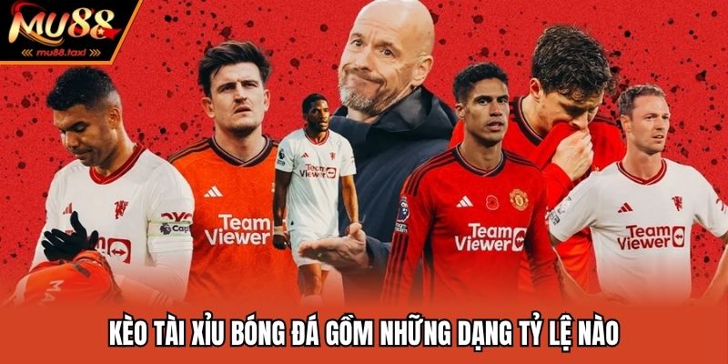 Kèo tài xỉu bóng đá gồm những dạng tỷ lệ nào