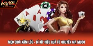 Mẹo Chơi Xâm Lốc - Bí Kíp Hiệu Quả Từ Chuyên Gia MU88