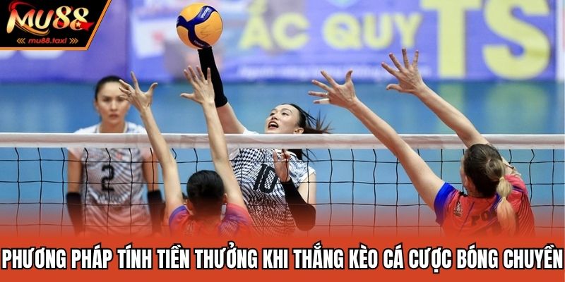 Phương pháp tính tiền thưởng khi thắng kèo cá cược bóng chuyền